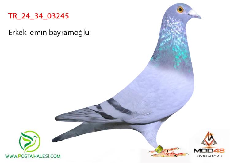 Referans Detayı